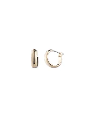 Mini Hoop Gold-Tone Earrings